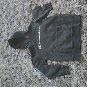 Champion sweatshirt hoodie